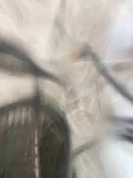 Adele Pinkk online show from October 17, 2025, 1:14 pm