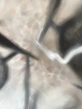 Adele Pinkk online show from October 21, 2025, 12:28 pm