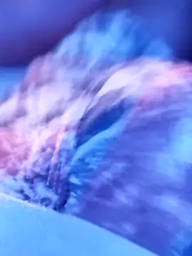 sertaonegro online show from November 14, 2025, 11:13 pm