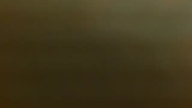 criss zuri online show from December 2, 2025, 12:21 pm