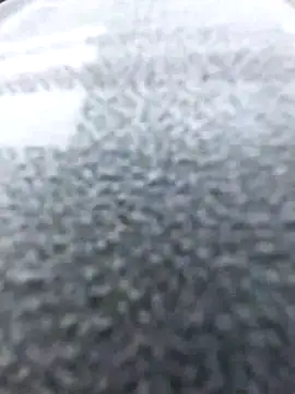 Snapshot of bisexdon chatting on October 16, 2025, 10:16 am bisexdon online show from October 16, 2025, 10:16 am