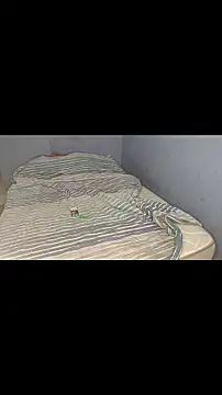 badlove42 online show from November 28, 2025, 4:04 am