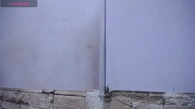 Bicky 24 online show from February 25, 2026, 9:19 am