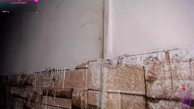 Bicky 24 online show from March 18, 2026, 9:01 am