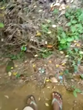 Udayanga- online show from March 22, 2026, 9:02 am