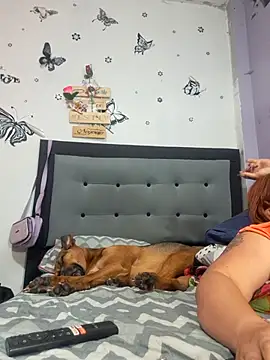 anythompsom online show from November 11, 2025, 8:20 pm