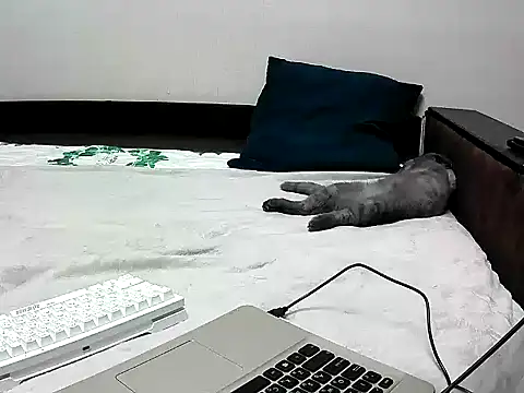 Snapshot of black_lany chatting on September 22, 2025, 2:41 pm black lany online show from September 22, 2025, 2:41 pm