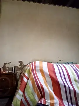 Snapshot of average_price chatting on November 12, 2025, 4:13 am average price online show from November 12, 2025, 4:13 am