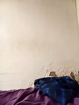 average price online show from December 3, 2025, 8:00 am