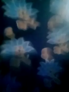 your favourite bhabhi online show from November 2, 2025, 1:46 pm