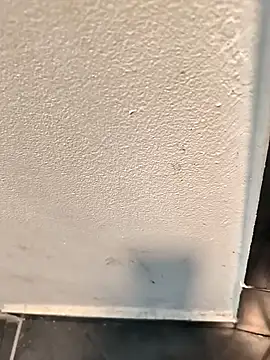 penchis90 online show from December 14, 2025, 2:22 pm