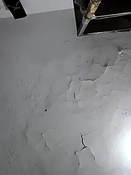 Snapshot of Ferxxxo1503 chatting on February 6, 2026, 5:45 am Ferxxxo1503 online show from February 6, 2026, 5:45 am