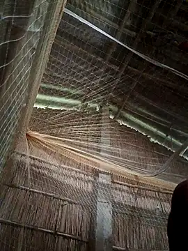 Snapshot of kfocufi chatting on October 28, 2025, 10:41 am kfocufi online show from October 28, 2025, 10:41 am