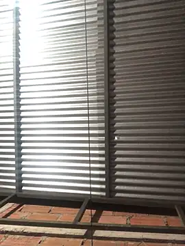 Snapshot of elpeluchenegroxxx3 chatting on February 13, 2026, 3:13 am elpeluchenegroxxx3 online show from February 13, 2026, 3:13 am