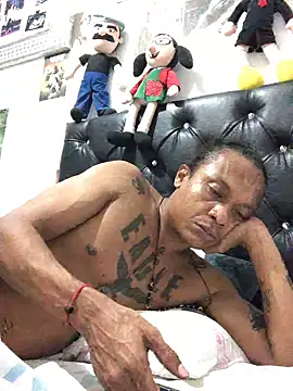 elpeluchenegroxxx3 online show from March 7, 2026, 2:52 am