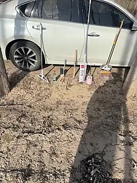 Snapshot of Fengbaby-555 chatting on February 3, 2026, 6:22 am Fengbaby-555 online show from February 3, 2026, 6:22 am