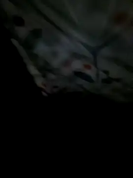 8133vaibhavh online show from February 4, 2026, 2:28 am