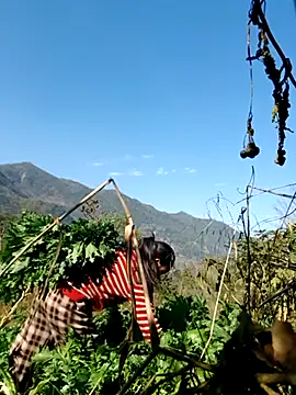 kemtuoi-sex online show from February 5, 2026, 8:08 am