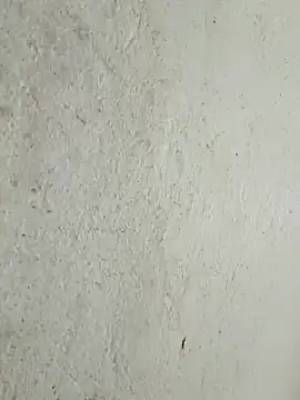 kata-00 online show from March 15, 2026, 4:18 am