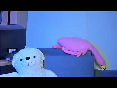 tokipokki online show from January 13, 2026, 11:32 pm