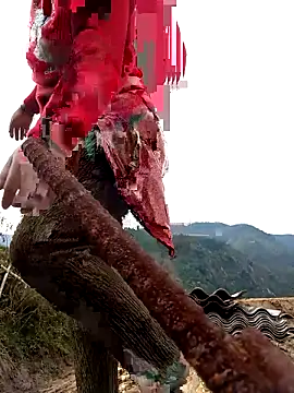 SSexykute3456 online show from November 24, 2025, 1:49 am