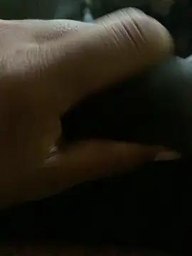 tharu-45 online show from April 17, 2026, 9:45 am