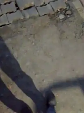 haryanaboypanipat12 online show from March 17, 2026, 1:25 pm