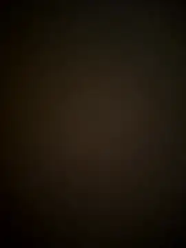 SienaWild online show from January 11, 2026, 4:06 am