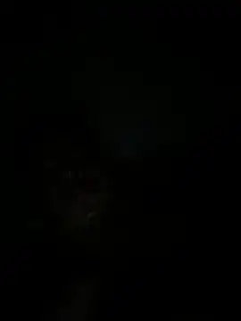 Snapshot of RangingWarranty chatting on October 20, 2025, 7:20 am RangingWarranty online show from October 20, 2025, 7:20 am