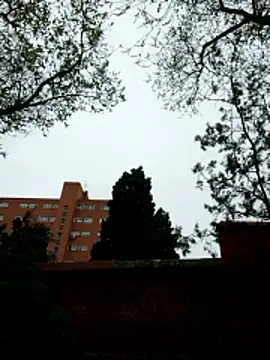 oliver sanders online show from March 9, 2026, 8:29 am