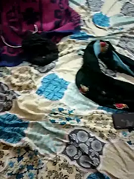 Snapshot of monarani5986 chatting on November 20, 2025, 6:29 pm monarani5986 online show from November 20, 2025, 6:29 pm