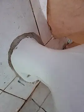 negaa25 online show from October 12, 2025, 11:42 am