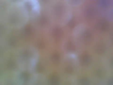 asian bhebs1 online show from September 21, 2025, 10:55 pm