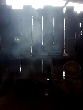 donna-bae online show from October 3, 2025, 11:13 pm