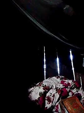 donna-bae online show from October 4, 2025, 11:03 pm