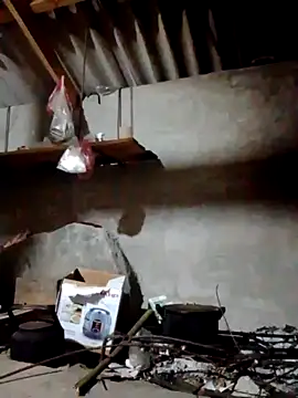 donna-bae online show from April 12, 2026, 10:15 pm