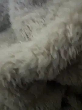 Snapshot of futsam653 chatting on November 12, 2025, 9:21 am futsam653 online show from November 12, 2025, 9:21 am