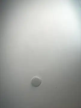 Snapshot of MisteryNight4 chatting on October 5, 2025, 7:45 pm MisteryNight4 online show from October 5, 2025, 7:45 pm