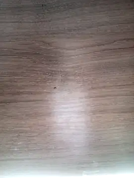 ValeriaLove43211 online show from March 13, 2026, 6:31 am