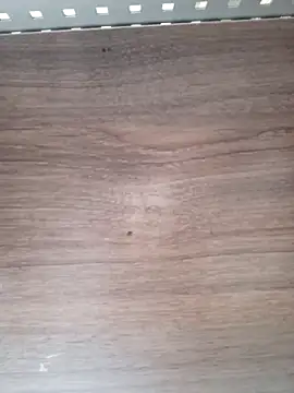 ValeriaLove43211 online show from April 6, 2026, 7:53 am