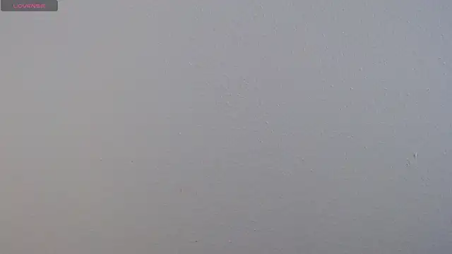 Camila Torresss online show from December 1, 2025, 7:19 pm