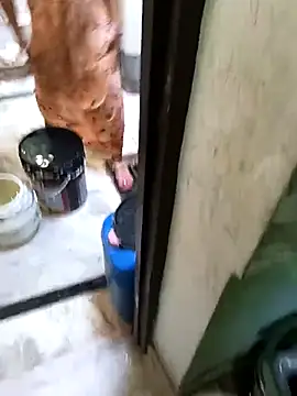 Cute-Charvii online show from March 8, 2026, 2:48 am