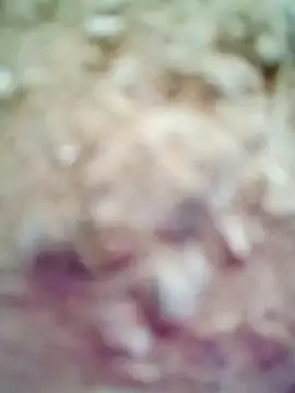 M-Kajal456 online show from November 4, 2025, 3:49 am