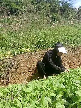 Norah-h online show from October 30, 2025, 2:24 am