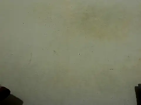 Drshodow864 online show from November 19, 2025, 12:27 pm