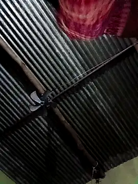 Haliya88 online show from October 27, 2025, 11:31 pm