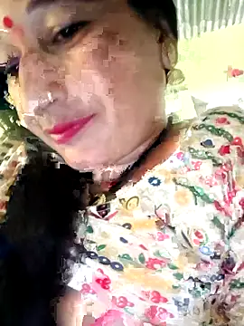 Haliya88 online show from November 2, 2025, 8:17 am