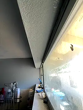 ohleafpix online show from October 1, 2025, 8:37 pm