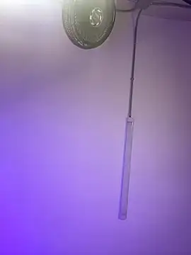 ChloeRosses online show from March 6, 2026, 11:01 pm