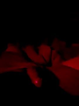 itsJrivera24 online show from October 26, 2025, 9:04 am